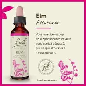 Elm fleurs de Bach Original 20 ml (Orme) Bach Original Nelsons 1 - mesfleursdebach.com 