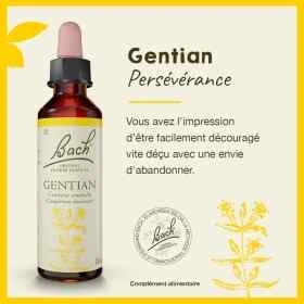 Gentian fleurs de bach original 20 ml (Gentiane) Bach Original Nelsons 1 - mesfleursdebach.com 