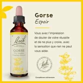 Gorse fleurs de Bach Original 20 ml (Ajonc) Bach Original Nelsons 1 - mesfleursdebach.com 