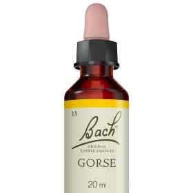 Gorse fleurs de Bach Original 20 ml (Ajonc) Bach Original Nelsons 5 - mesfleursdebach.com 