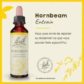 Hornbeam fleurs de Bach Original 20 ml (Charme) Bach Original Nelsons 1 - mesfleursdebach.com 