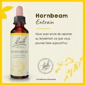 Hornbeam fleurs de Bach Original 20 ml (Charme) Bach Original Nelsons 1 - mesfleursdebach.com 