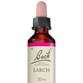 Larch fleurs de Bach Original 20 ml (Mélèze) Bach Original Nelsons 5 - mesfleursdebach.com 