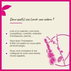 Larch fleurs de Bach Original 20 ml (Mélèze) Bach Original Nelsons 4 - mesfleursdebach.com 