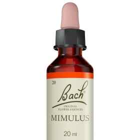 Mimulus fleurs de Bach Original 20 ml (Mimule) Bach Original Nelsons 5 - mesfleursdebach.com 