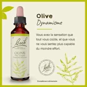 Olive fleurs de Bach Original 20 ml (Olive) Bach Original Nelsons 1 - mesfleursdebach.com 