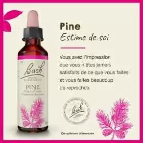 Pine fleurs de Bach Original 20 ml (Pin Sylvestre) Bach Original Nelsons 1 - mesfleursdebach.com 