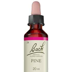 Pine fleurs de Bach Original 20 ml (Pin Sylvestre) Bach Original Nelsons 5 - mesfleursdebach.com 