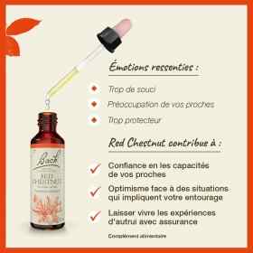 Red Chestnut fleurs de Bach Original 20 ml (Marronnier Rouge) Bach Original Nelsons 3 - mesfleursdebach.com 