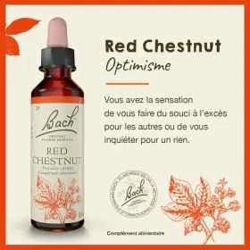 Red Chestnut fleurs de Bach Original 20 ml (Marronnier Rouge) Bach Original Nelsons 1 - mesfleursdebach.com 