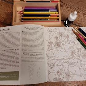 Art-Thérapie et Fleurs de Bach - 38 fleurs à colorier - Lucilla Satanassi Mes Fleurs de BACH 3 - mesfleursdebach.com 