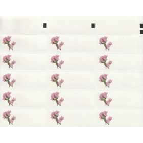 Etiquettes Centaury - Planche de 15 Mes Fleurs de BACH 1 - mesfleursdebach.com 