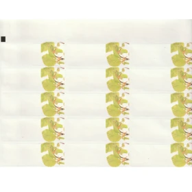 Etiquettes Beech - Planche de 15 Mes Fleurs de BACH 1 - mesfleursdebach.com 
