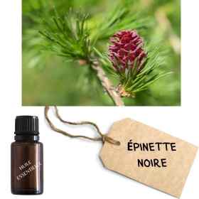 Crème Muscul'r Alchimy Aux Fleurs de Bach et Huiles Essentielles Alchimy 8 - mesfleursdebach.com 