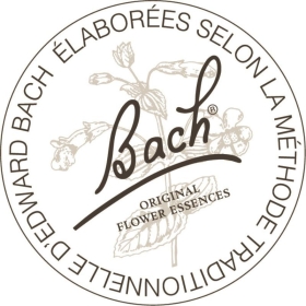 ANTI-GASPI - Bach Original Rescue Jour Pomme Menthe compte-gouttes 20ml sans alcool Bach Original Nelsons 8 - mesfleursdebach.co