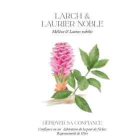 Cartes Harmonie florale & Olfactive - 9*13cm par Sabrina Malenfant Mes Fleurs de BACH 3 - mesfleursdebach.com 