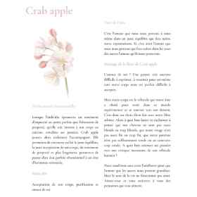 Symphonie florale & Olfactive par Sabrina Malenfant Mes Fleurs de BACH 4 - mesfleursdebach.com 