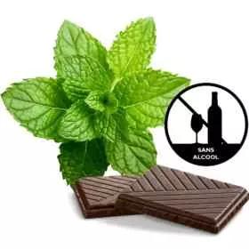 Bach Original Rescue Jour Menthe Chocolat compte-gouttes 20ml sans alcool Bach Original Nelsons 1 - mesfleursdebach.com 