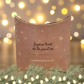 Pochette Cadeau Joyeux Noël! [product.brand] 1 - mesfleursdebach.com 