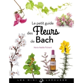 Coffret de Noël Healing Herbs Bio 10 ml - Coffret en bois plein 38 fleurs de Bach et 2 urgence +1 livre+1 vapospray Healing Herb