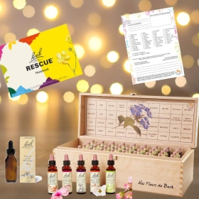 Coffret de Noël 38 fleurs de Bach Original 20 ml. Offerts: 1 livre, 1 bloc conseil, 1 flacon pour mélange compte-gouttes 30 ml B