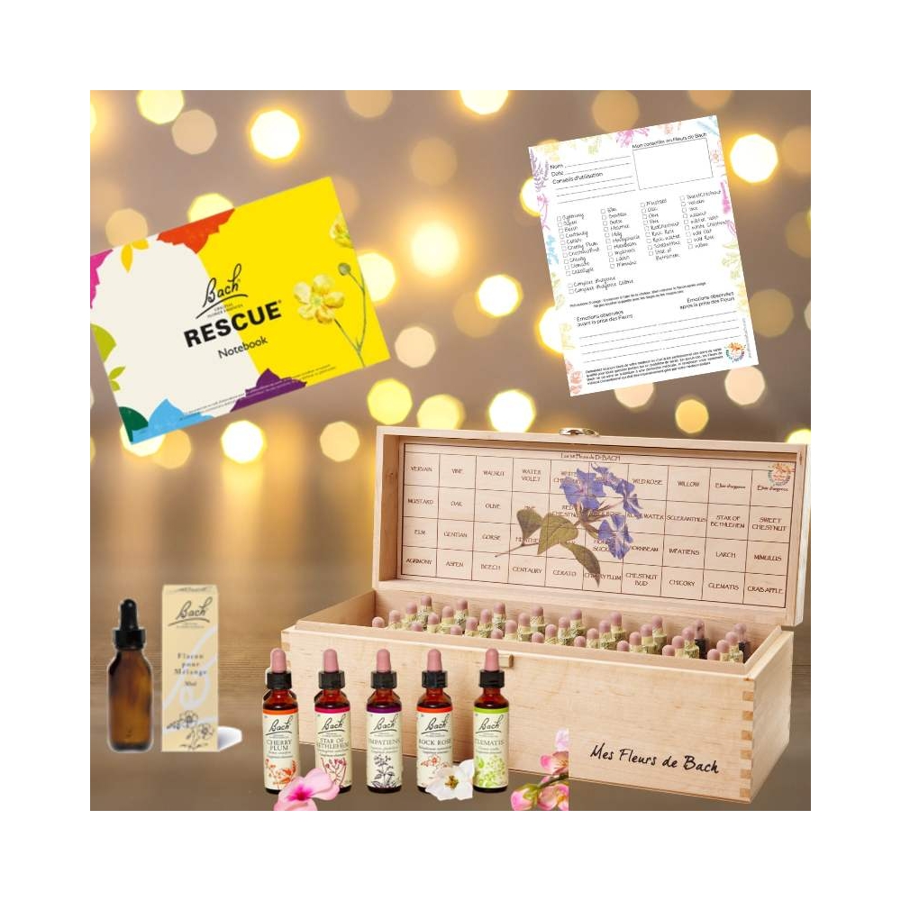 Coffret de Noël 38 fleurs de Bach Original 20 ml. Offerts: 1 livre, 1 bloc conseil, 1 flacon pour mélange compte-gouttes 30 ml B Coffret de Noël 38 fleurs de Bach Original 20 ml. Offerts: 1 livre, 1 bloc conseil, 1 flacon pour mélange compte-gouttes 30 ml B