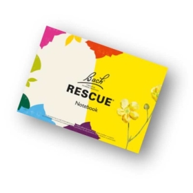 Coffret de Noël 38 fleurs de Bach Original 20 ml. Offerts: 1 livre, 1 bloc conseil, 1 flacon pour mélange compte-gouttes 30 ml B