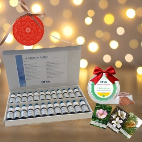 Coffret de Noël Deva 15 ml- 38 fleurs de Bach et 2 rescue Deva 1 - mesfleursdebach.com 