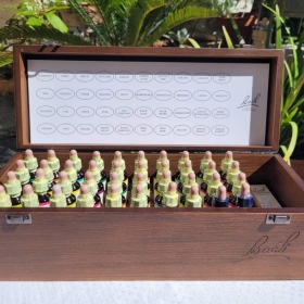 Bach original 20 ml - Coffret en bois Vide Bach Original Nelsons 2 - mesfleursdebach.com 