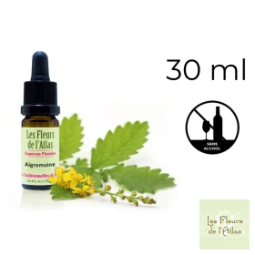 Agrimony Fleurs de l'Atlas 30 ml (Aigremoine) Fleurs de l'Atlas - Sans alcool 1 - mesfleursdebach.com 