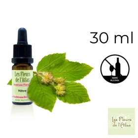 Beech Fleurs de l'Atlas 30 ml (Hêtre) Fleurs de l'Atlas - Sans alcool 1 - mesfleursdebach.com 