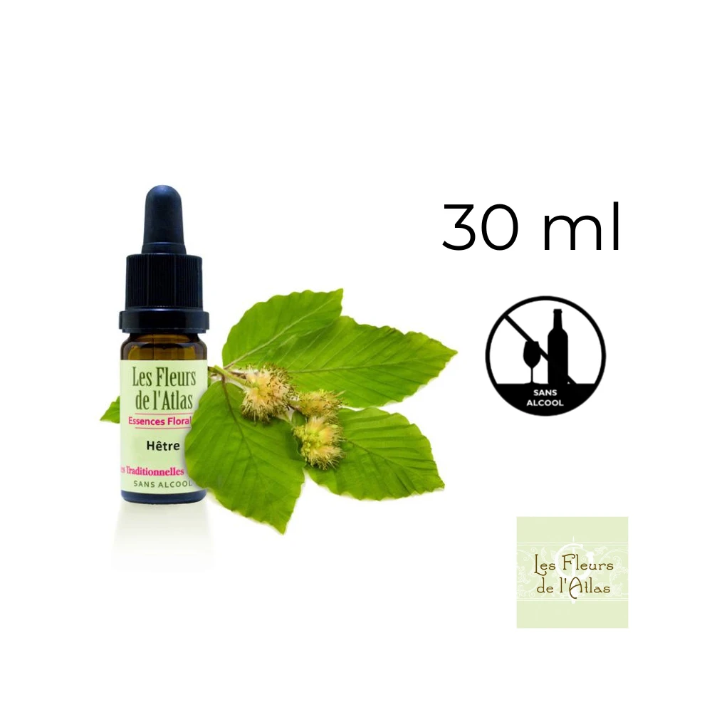 Beech Fleurs de l'Atlas 30 ml (Hêtre) Fleurs de l'Atlas - Sans alcool 1 - mesfleursdebach.com Beech Fleurs de l'Atlas 30 ml (Hêtre) Fleurs de l'Atlas - Sans alcool 1 - mesfleursdebach.com