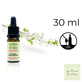 Cherry Plum Fleurs de l'Atlas 30 ml (Prunier Myrobolan) Fleurs de l'Atlas - Sans alcool 1 - mesfleursdebach.com 
