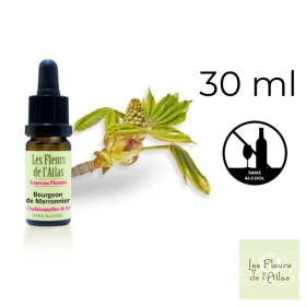 Chestnut Bud Fleurs de l'Atlas 30 ml (Bourgeon de Marronnier) Fleurs de l'Atlas - Sans alcool 1 - mesfleursdebach.com 