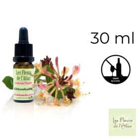 Honeysuckle Fleurs de l'Atlas 30 ml (Chèvrefeuille) Fleurs de l'Atlas - Sans alcool 1 - mesfleursdebach.com 