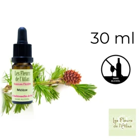 Larch Fleurs de l'Atlas 30 ml (Mélèze) Fleurs de l'Atlas - Sans alcool 1 - mesfleursdebach.com 