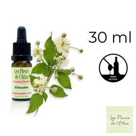 Clematis Fleurs de l'Atlas 30 ml (Clématite) Fleurs de l'Atlas - Sans alcool 1 - mesfleursdebach.com 