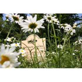 L'Histoire de Mount Vernon par Judy Howard du Centre Bach de Grande-Bretagne Mes Fleurs de BACH 3 - mesfleursdebach.com 