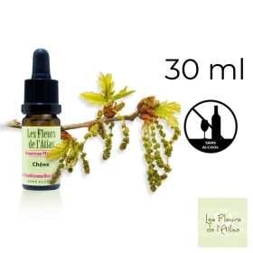 Oak Fleurs de l'Atlas 30 ml (Chêne) Fleurs de l'Atlas - Sans alcool 1 - mesfleursdebach.com 