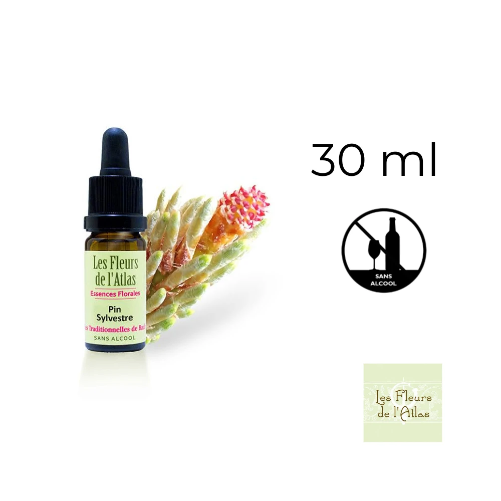 Pine Fleurs de l'Atlas 30 ml (Pin Sylvestre) Fleurs de l'Atlas - Sans alcool 1 - mesfleursdebach.com 