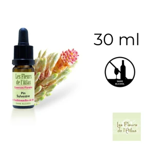 Pine Fleurs de l'Atlas 30 ml (Pin Sylvestre) Fleurs de l'Atlas - Sans alcool 1 - mesfleursdebach.com 