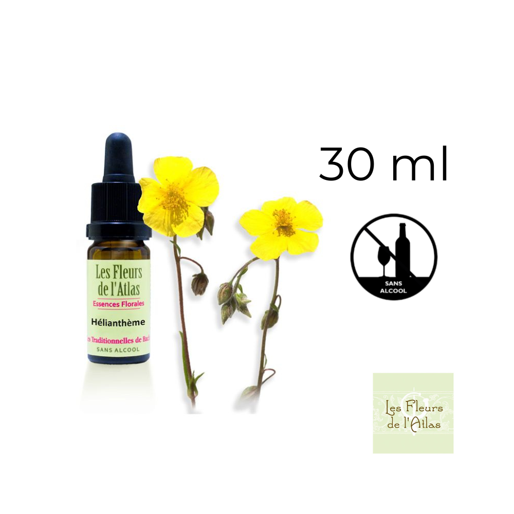 Rock Rose Fleurs de l'Atlas 30 ml (Hélianthème) Fleurs de l'Atlas - Sans alcool 1 - mesfleursdebach.com Rock Rose Fleurs de l'Atlas 30 ml (Hélianthème) Fleurs de l'Atlas - Sans alcool 1 - mesfleursdebach.com