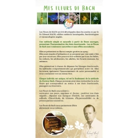 50 flyers professionnels Fleurs de Bach: rajoutez votre tampon!! Mes Fleurs de BACH 1 - mesfleursdebach.com 