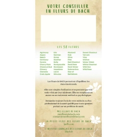 50 flyers professionnels Fleurs de Bach: rajoutez votre tampon!! Mes Fleurs de BACH 2 - mesfleursdebach.com 