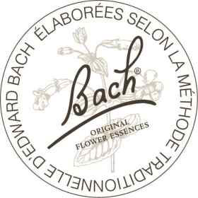 Rescue pastilles pastèque Bach Original Bach Original Nelsons 7 - mesfleursdebach.com 