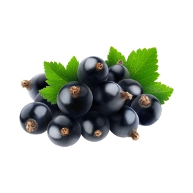 Bach - Rescue pastilles Nuit Bach Original Bach Original Nelsons 3 - mesfleursdebach.com 