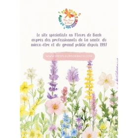 Pack de 10 flyers Fleurs de Bach Mes Fleurs de BACH 2 - mesfleursdebach.com 