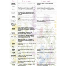 Pack de 10 flyers Fleurs de Bach Mes Fleurs de BACH 4 - mesfleursdebach.com 