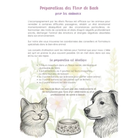 Pack de 10 flyers Fleurs de Bach Mes Fleurs de BACH 7 - mesfleursdebach.com 