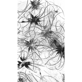 ElixSir - Dr Bach -Valérie Knight Mes Fleurs de BACH 6 - mesfleursdebach.com 
